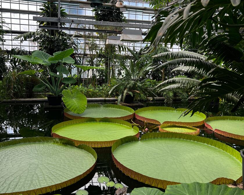 paypoq kiygan qiz porno